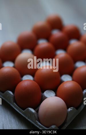 Assortment of brown eggs in cardboard carton. Natural protein food and agriculture concept. Stock Photo