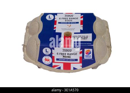 closed tesco box of six large eggs cut out on white background Stock Photo