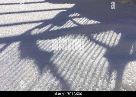 Winter abstract background with white snow surface with snow crystals and striped shadows Stock Photo