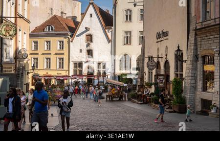 Tallinn Old Town, Estonia Stock Photo