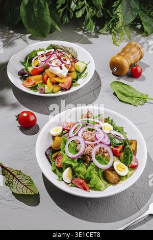 Two vibrant salad bowls are presented on a gray table. One is filled with greens and tuna, while the other features a mixture of fresh vegetables and Stock Photo