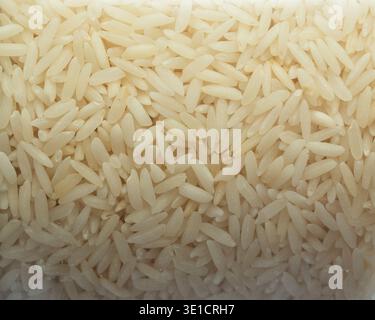 Rice macro background texture. Rice raw close up. Rice grain detail ...