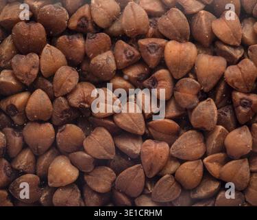 Macro close up of buckwheat grains creating a natural textured background. Gluten free pseudocereal and healthy nutrition concept. Stock Photo