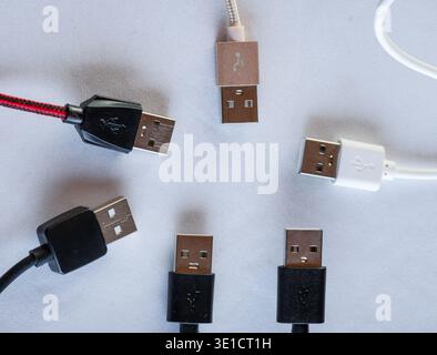 Collection of USB connectors arranged on white background Stock Photo