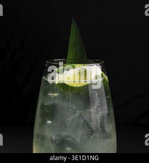 Elegant glass of lime cocktail with ice cubes and green leaf garnish, isolated on dark backdrop Stock Photo