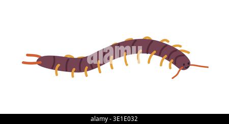 Centipede cartoon clipart. Cute centipede (Chilopoda) vector illustration. Animal in flat style. Insects and anthropods concept isolated on white Stock Vector