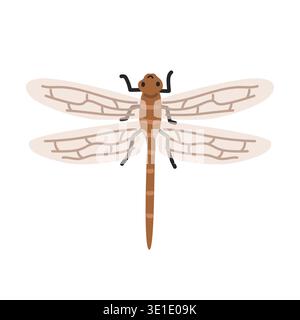 Dragonfly cartoon clipart. Cute dragonfly (Anisoptera) vector illustration. Animal in flat style. Insects and anthropods concept isolated on white Stock Vector