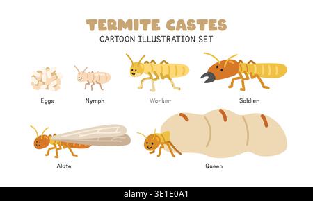 Termites cartoon clipart. Cute termite life cycle (Isoptera) vector illustration set. Animal stages flat style. Nymph, worker, soldier, alate, Queen Stock Vector