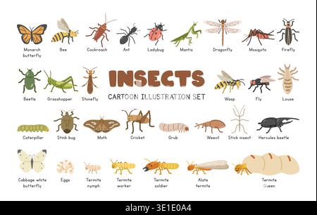 Insects and anthropods vector illustration set, cartoon clipart in flat style. Butterfly, bee, cockroach, ant, mantis, ladybug, dragonfly, beetle Stock Vector