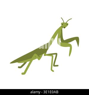 Mantis cartoon clipart. Cute European mantis or praying mantis (Mantodea) vector illustration. Animal in flat style. Insects and anthropods concept Stock Vector