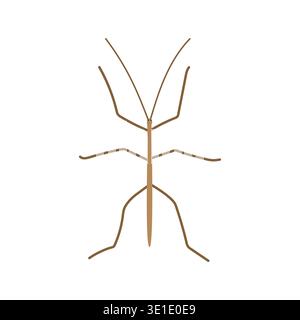 Stick bug cartoon clipart. Cute stick bug or stick insect or walking stick (Phasmatodea) vector illustration. Animal in flat style Stock Vector