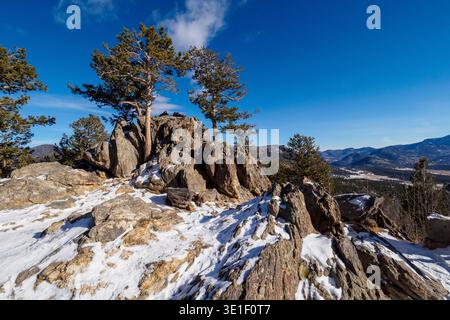 A panoramic view of a rocky, snow-dusted mountain peak under a clear blue sky. Two pine trees stand tall on the summit, their branches reaching towards the sky. In the distance, rolling hills and valleys are visible, hinting at a vast wilderness. Stock Photo