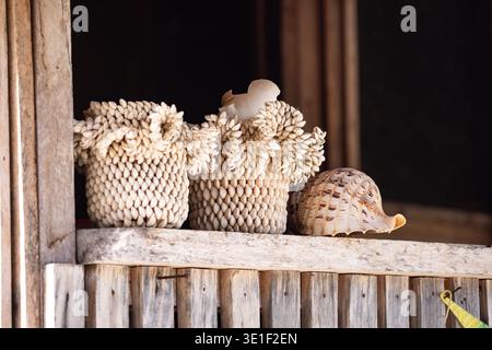 Two decorative baskets made of shells sit on a wooden shelf next to a large conch shell. Stock Photo