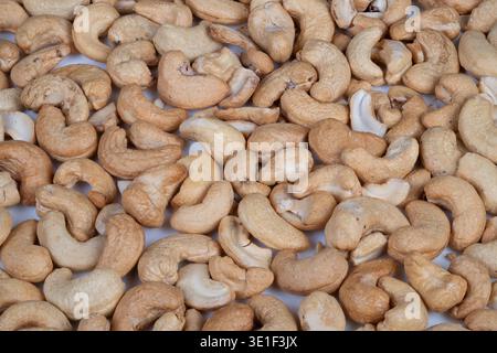 Harvested cashews sundrying outdoors. Fresh cashew kernels drying under sunlight. Cashew nuts drying in natural light on mesh during farm processing s Stock Photo