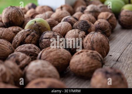 The background is made of walnuts lying on a plane. a walnut in a dry peel and in a green peel is plucked from a tree. High quality photo Stock Photo