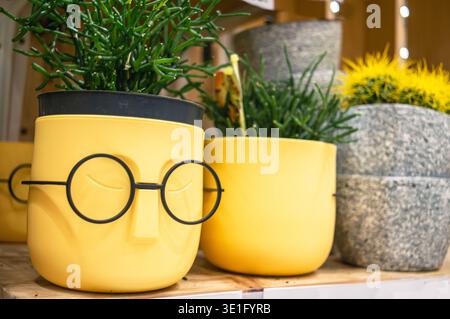 colorful plastic flower pots stand in a row on a shelf. High quality photo Stock Photo