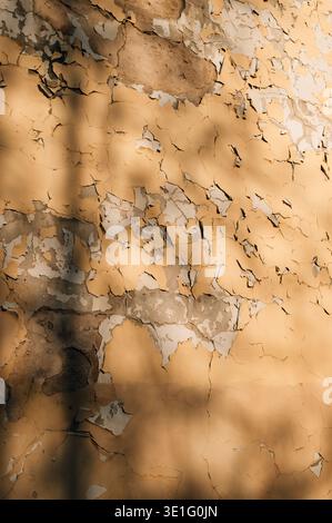A textured wall featuring layers of peeling paint in muted shades, showcasing rustic aesthetics.  Stock Photo