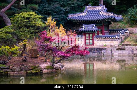 Traditional Korean pavilion by a pond surrounded by autumn trees, reflecting on calm water in a serene landscape. Stock Photo