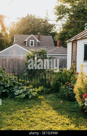 View of backyard garden at sunset on fall evening in the midwest Stock Photo