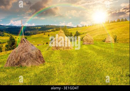 sunset over wonderful haystacks in a row on a grassy hay field. beautiful rural scenery with pasture in summer. traditional agriculture landscape with Stock Photo