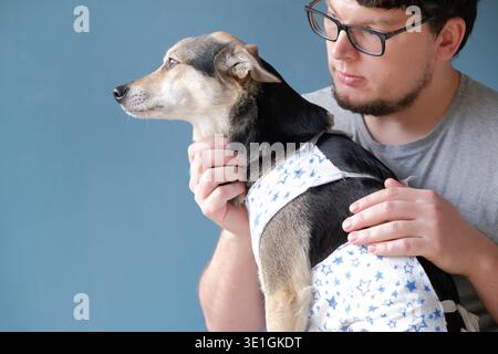 young man holding cute mixed breed dog wearing post operational protective shirt. Pet clothing after surgery || Model released Stock Photo