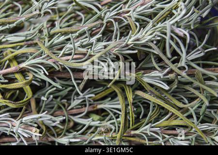 solid background of dried lavender leaves. Fragrant lavender tea for a sound sleep. Natural Lavender Tea Infuser. High quality photo Stock Photo