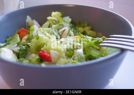 Fresh green vegetable salad of celery cabbage pepper and dill in a deep gray plate on a white background. Dish with vitamin food close photo. High qua Stock Photo
