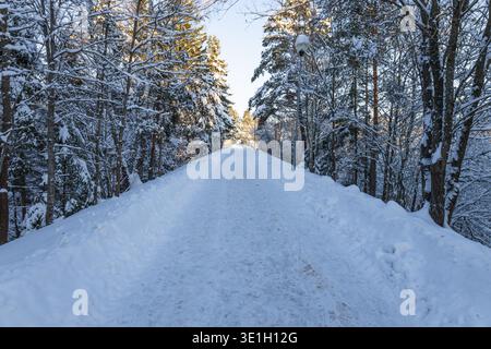 Scenic snowy road through frosty forest in winter light Stock Photo