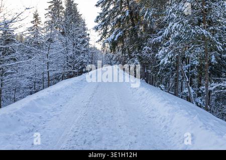 Snow covered winter road through forest at sunrise Stock Photo