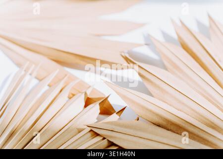 Minimal composition with dried palm leaves casting soft shadows on a light background. Natural abstract pattern with warm tones and elegant botanical Stock Photo