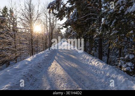 Snow covered winter road through forest at sunset light Stock Photo
