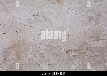 Marble natural stone background. Fossil marble slab surface backdrop. Stock Photo