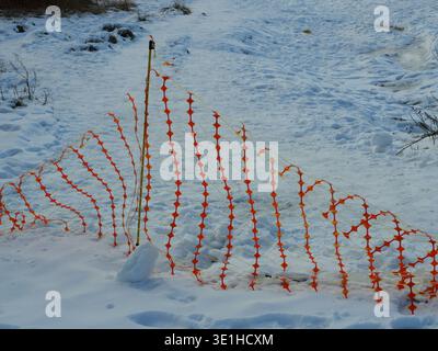 Orange plastic safety fence on snow with strong color contrast and graphic net pattern. Copyspace. Stock Photo