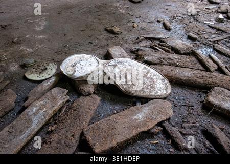 Worn shoe rests beside broken bricks on wet, muddy ground. Stock Photo