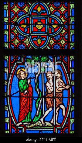 Adam and Eve expelled from the Garden of Eden on a stained glass window ...