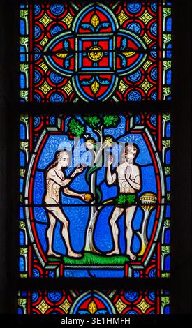 Adam and Eve (The Fall of Man), stained glass, Chartres Cathedral ...