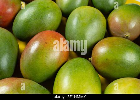 A lot of whole ripe mangoes in close-up. Vitamin fruit background Stock Photo