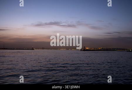 A seagull soars over calm harbor waters during twilight hour. City lights illuminate the distant shoreline while colorful clouds drift across the dusk Stock Photo
