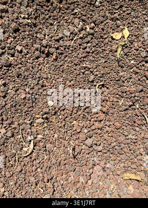 Soil covered with small reddish stones and scattered dried leaves under sunlight in an outdoor setting. Stock Photo
