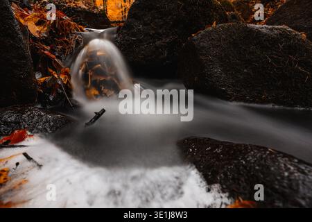 Water flows over dark rocks in forest stream. Orange autumn leaves are visible on rocks and ground. Stock Photo