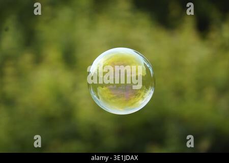 Reflection in the soap bubble Stock Photo