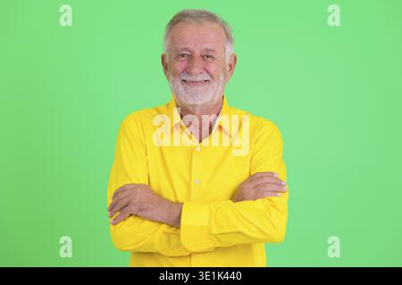 Studio shot of handsome senior bearded businessman against green background Stock Photo