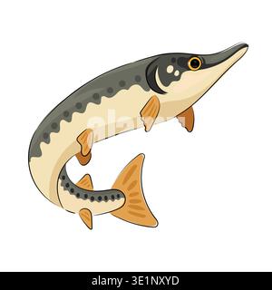 Northern pike, flat vector illustration of a freshwater predator with a long body and fins. Fishing and wildlife icon in cartoon style Stock Vector