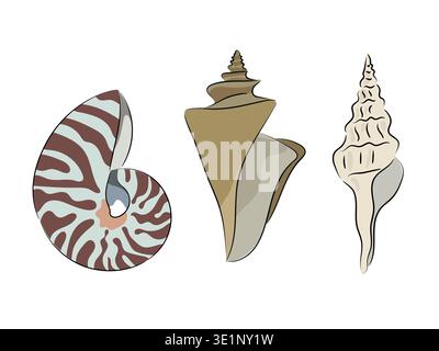 A collection of seashells, nautiluses, conchs, and spiral shells. Flat vector illustrations of seashells isolated on white background. Stock Vector