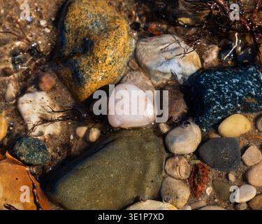 Colorful beach rocks and sand at water's edge. River shore marine background Stock Photo