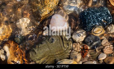 Colorful beach rocks and sand at water's edge. River shore marine background Stock Photo