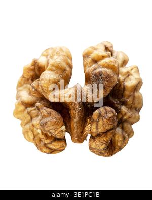 Detailed walnut kernel isolated on white background. Healthy organic nut ingredient commonly used in baking, snacks, and nutrition concepts. Stock Photo