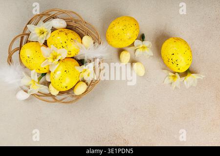 Easter eggs and daffodils in nest with feathers flat lay Stock Photo