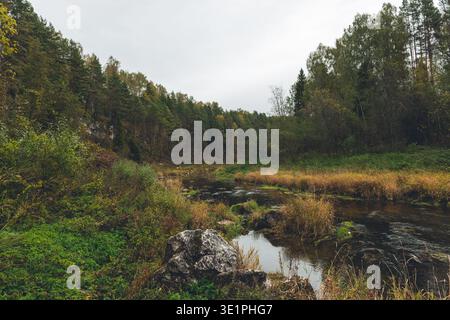 A tranquil river flows gently through a rugged landscape of dense coniferous and deciduous forests. The shoreline is decorated with golden-brown autum Stock Photo