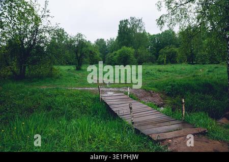 A simple, handcrafted wooden footbridge made of planks and birch branches spans a small stream in a lush, rain-soaked meadow. The scene is captured on Stock Photo